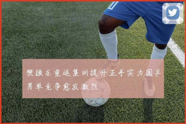 樊振东重返集训提升正手实力国乒男单竞争愈发激烈